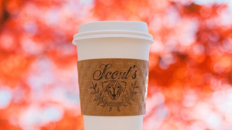 Scout's Coffee Bar + Mercantile photo 2