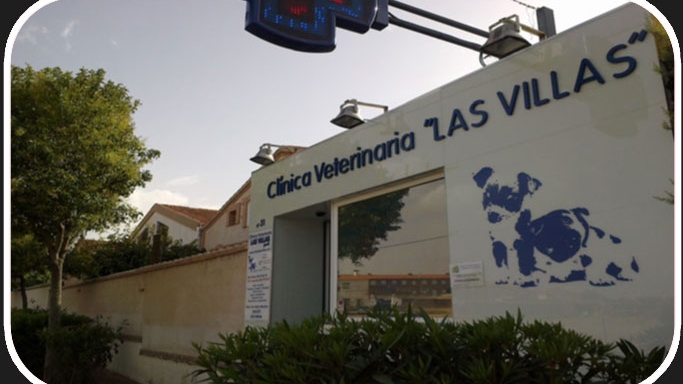 Clinica Veterinaria Las Villas
