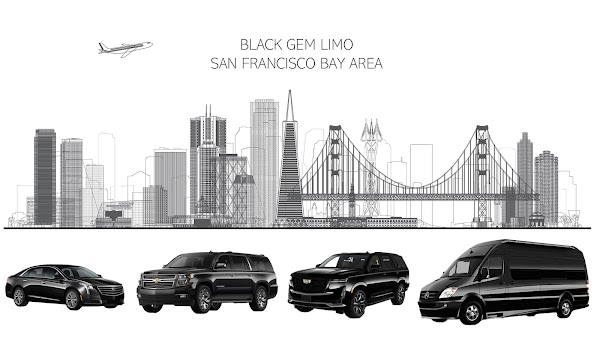 Black Gem Limo portfolio