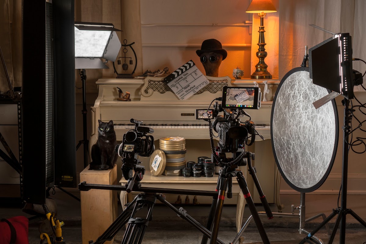 Colorfool Films: Google Places image 4