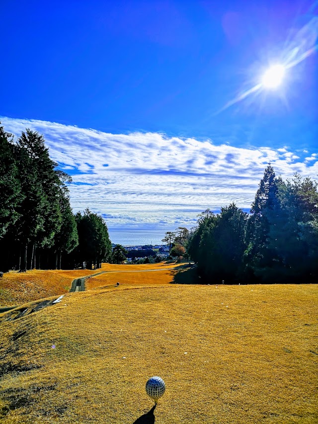 Hitachi Golf Club - Photo 4