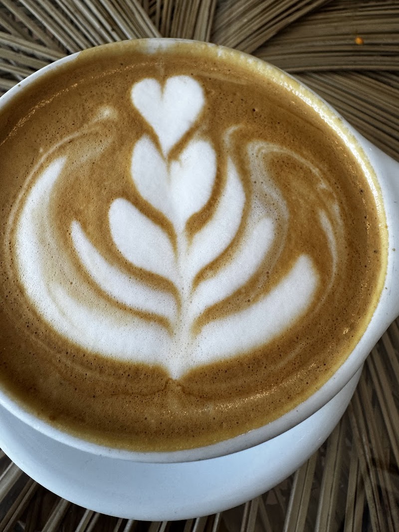 Native Cafe photo 4