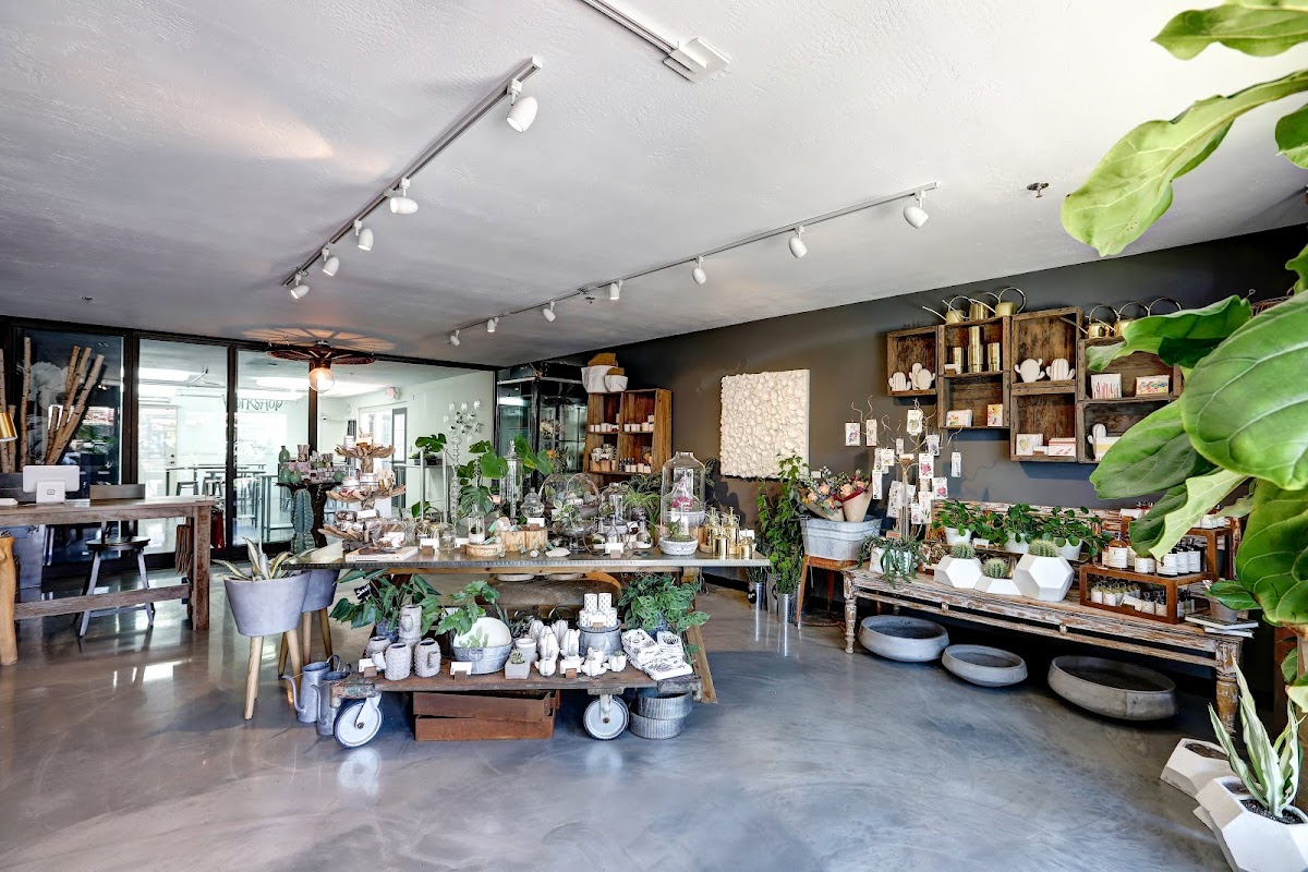 Flower Bar: Google Places image 3
