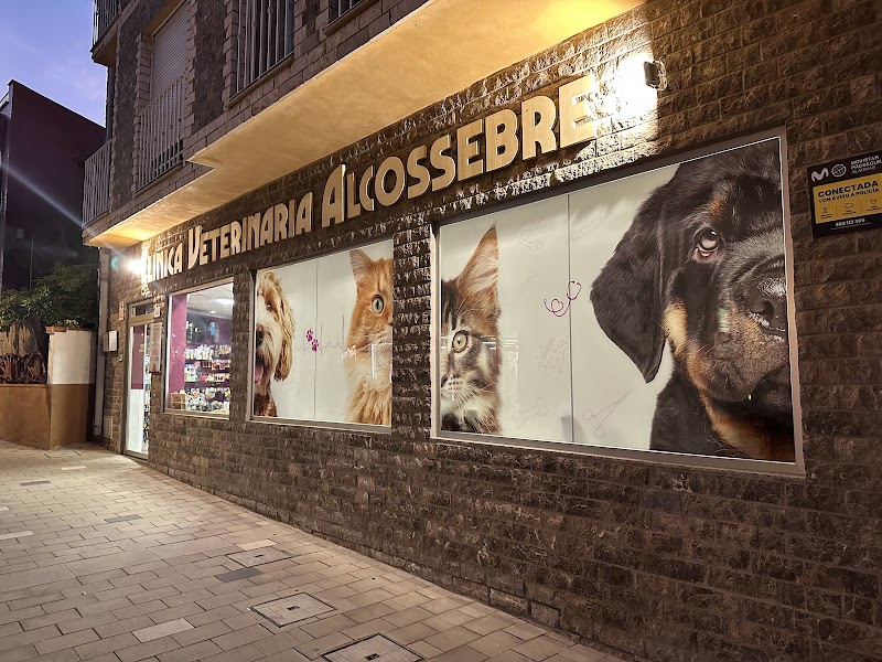 Clínica Veterinaria Alcossebre