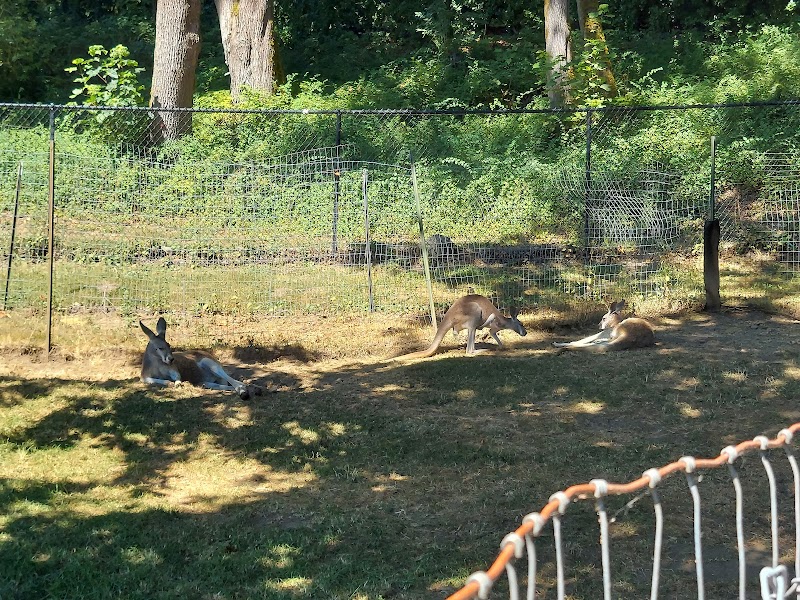 Fall City Wallaby Ranch - Photo 6