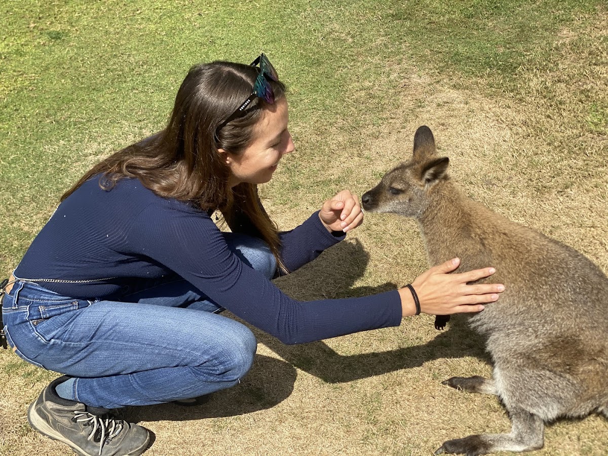 Fall City Wallaby Ranch