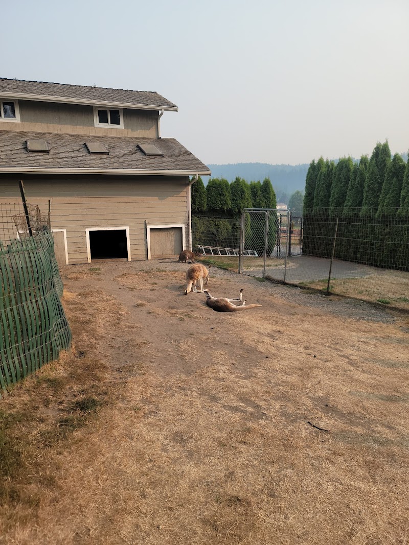 Fall City Wallaby Ranch - Photo 5