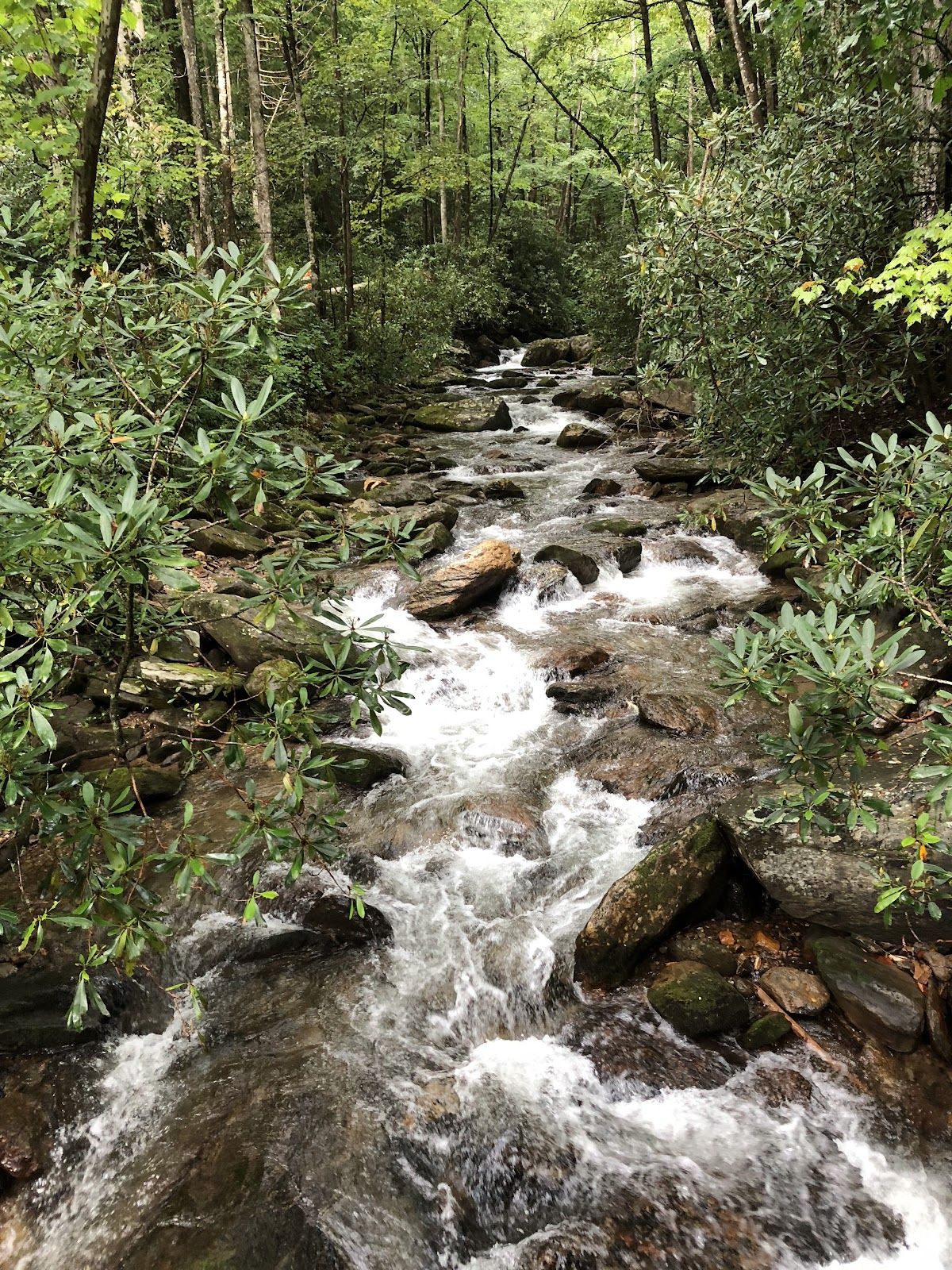 Indigo Nature Retreat — 3