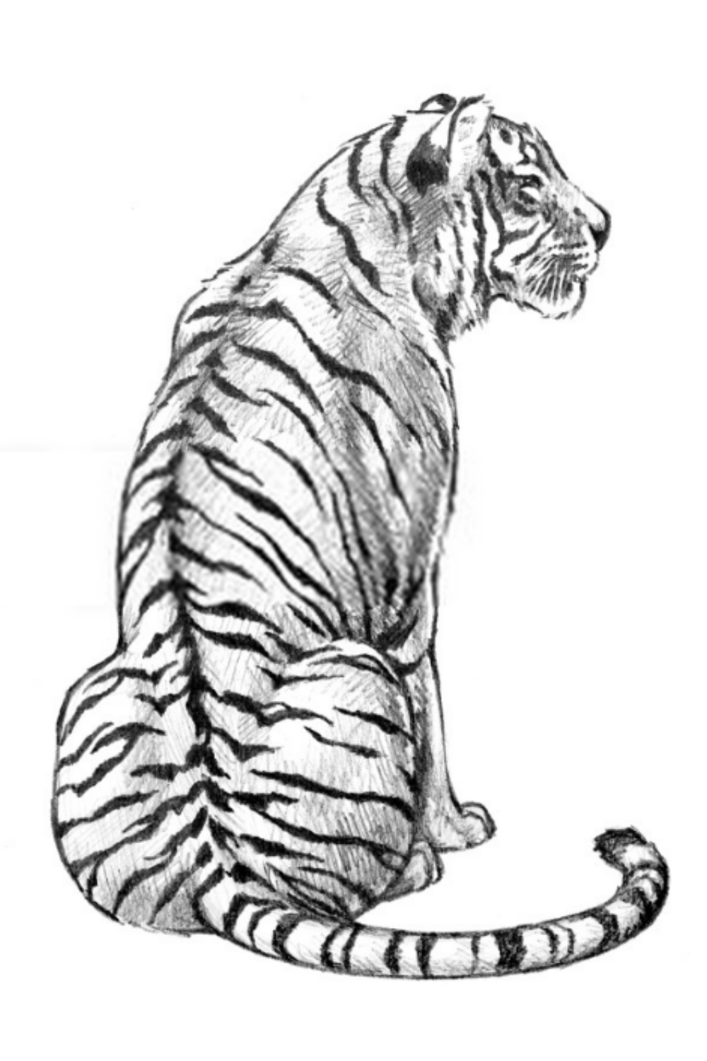 Tiger City Entertainment: Google Places image 3