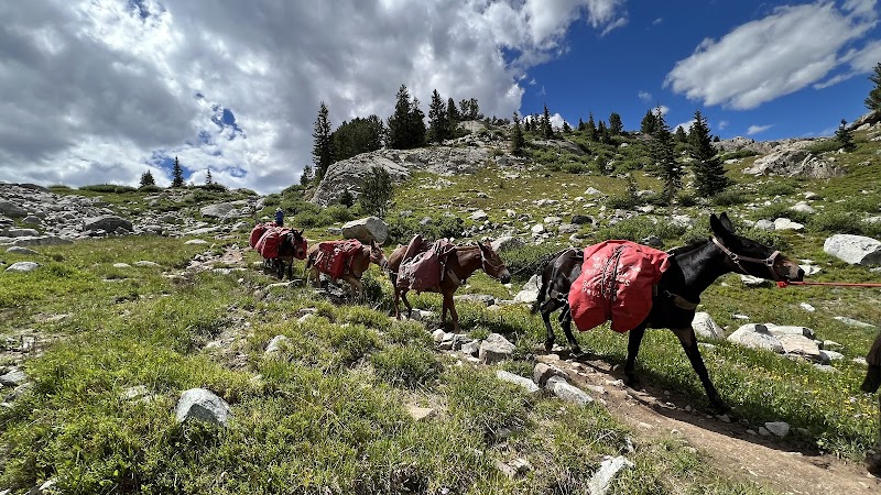 Bald Mountain Outfitters - Photo 1