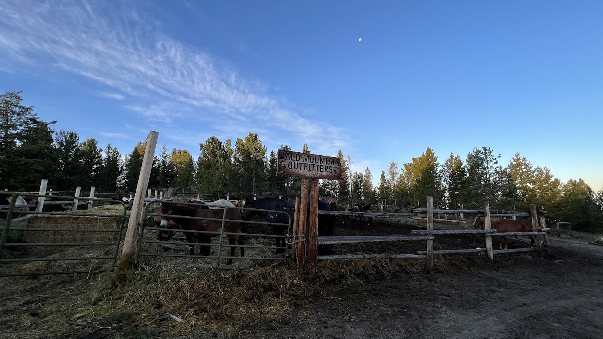 Bald Mountain Outfitters