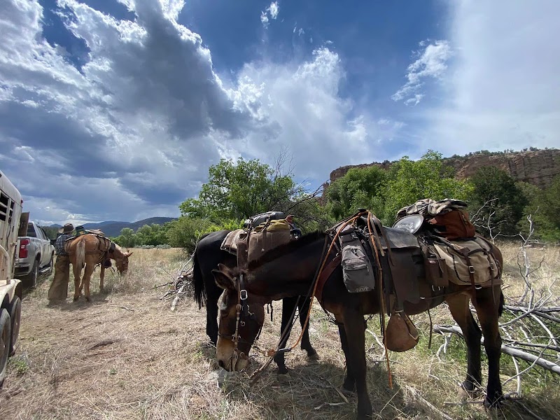 MTN High Hunters - Photo 2