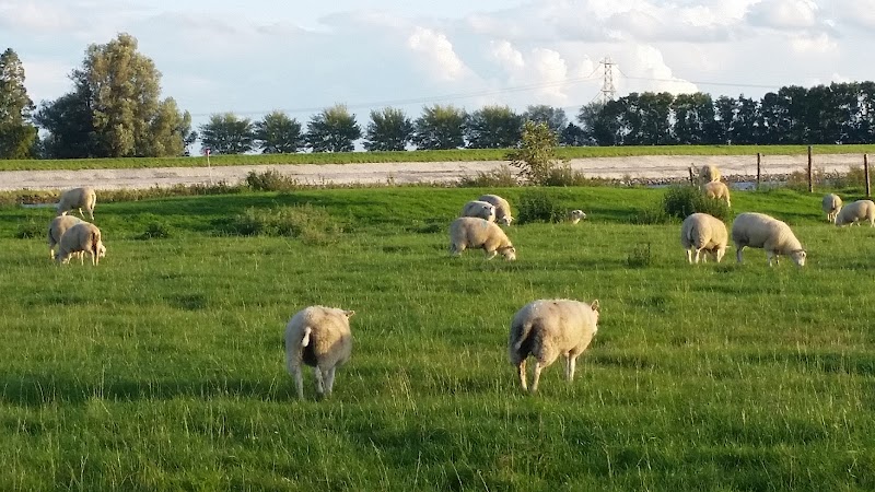 Maaswijk Spijkenisse