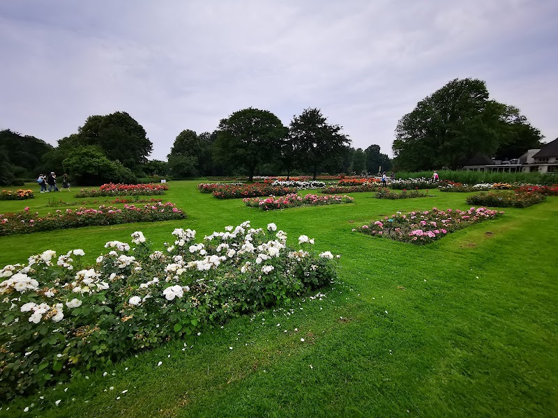 Westerbroekpark Rosarium