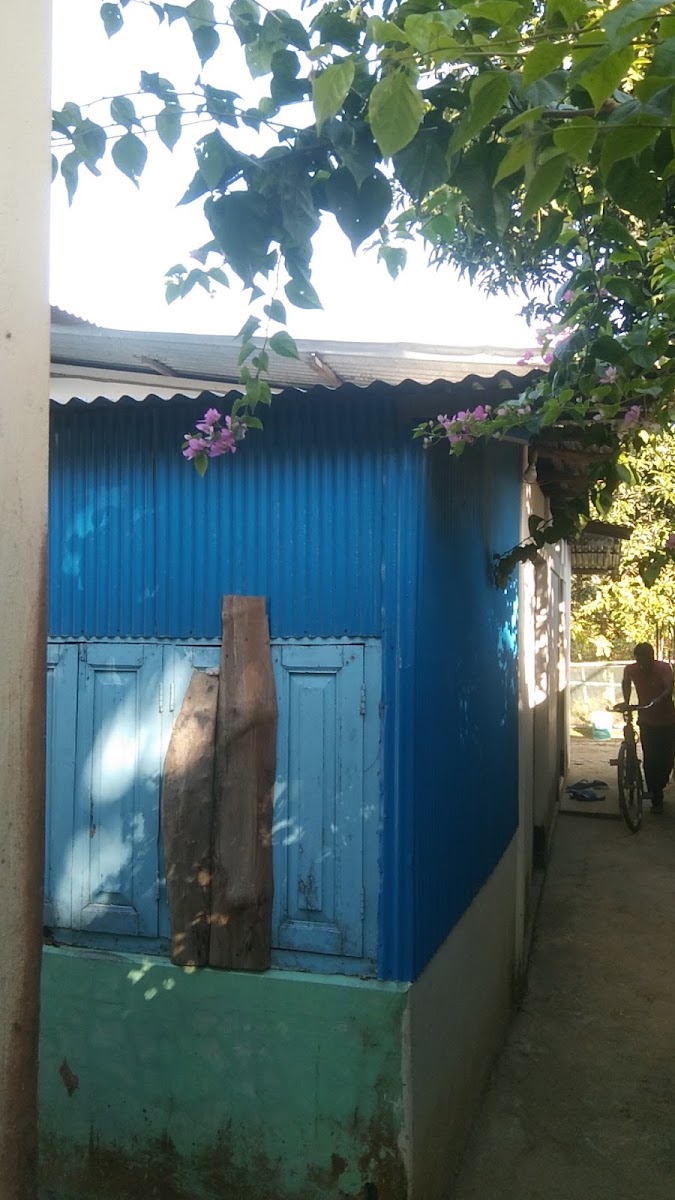 Ichha Nagar Jama Masjid Google photo 1