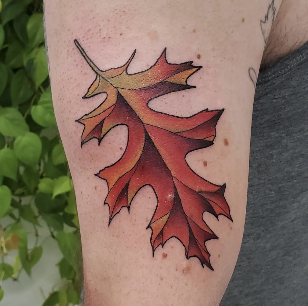 Skin Abrasion's — tattoo studio near Oak Park