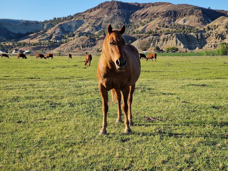 Stanley Valley Ranch - Photo 5