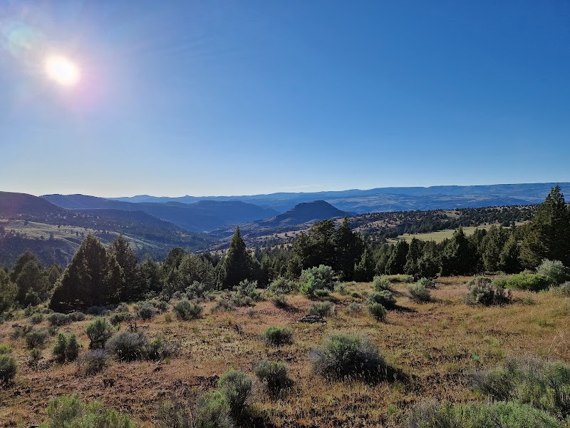 Stanley Valley Ranch - Photo 3
