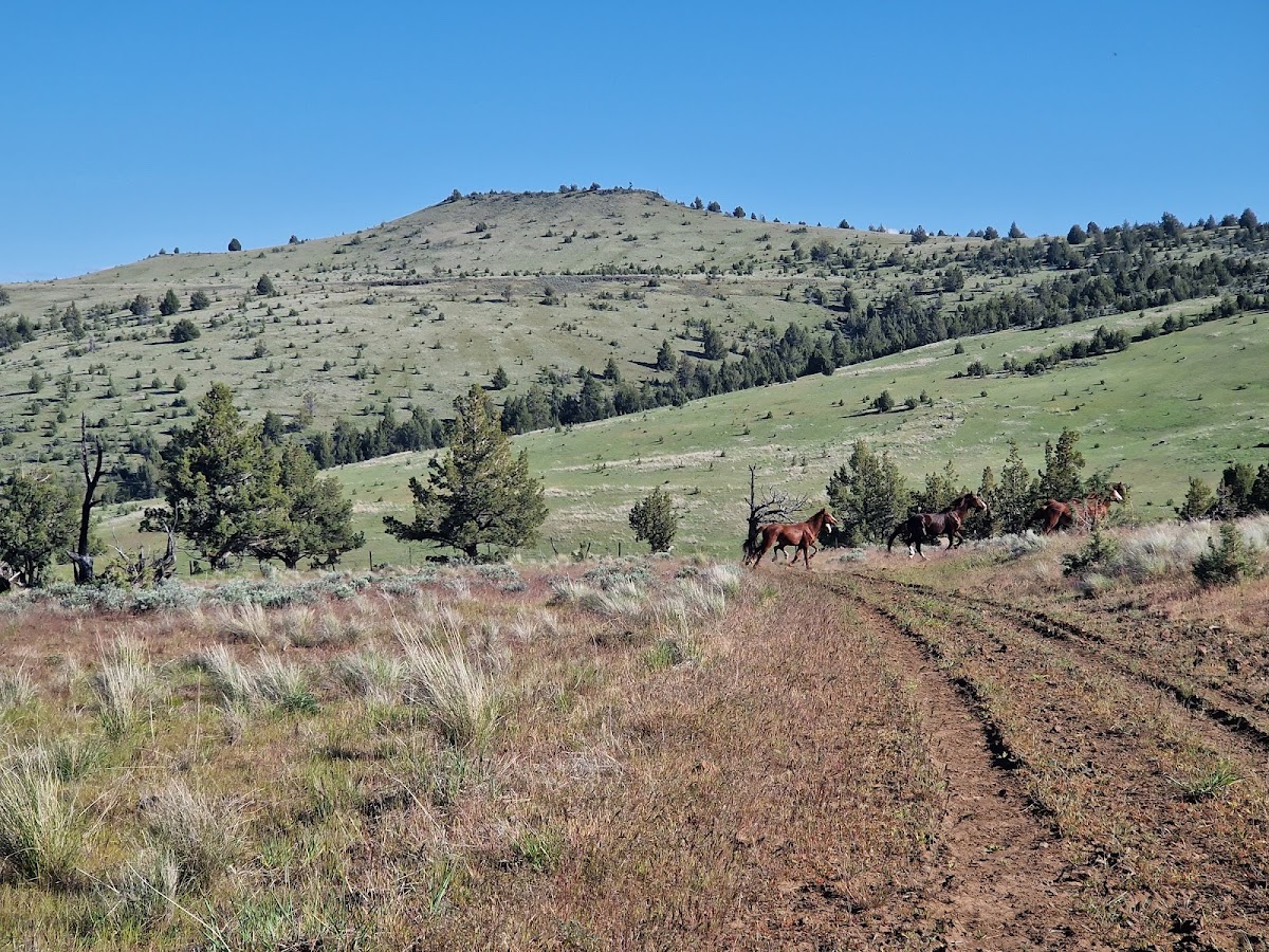 Stanley Valley Ranch