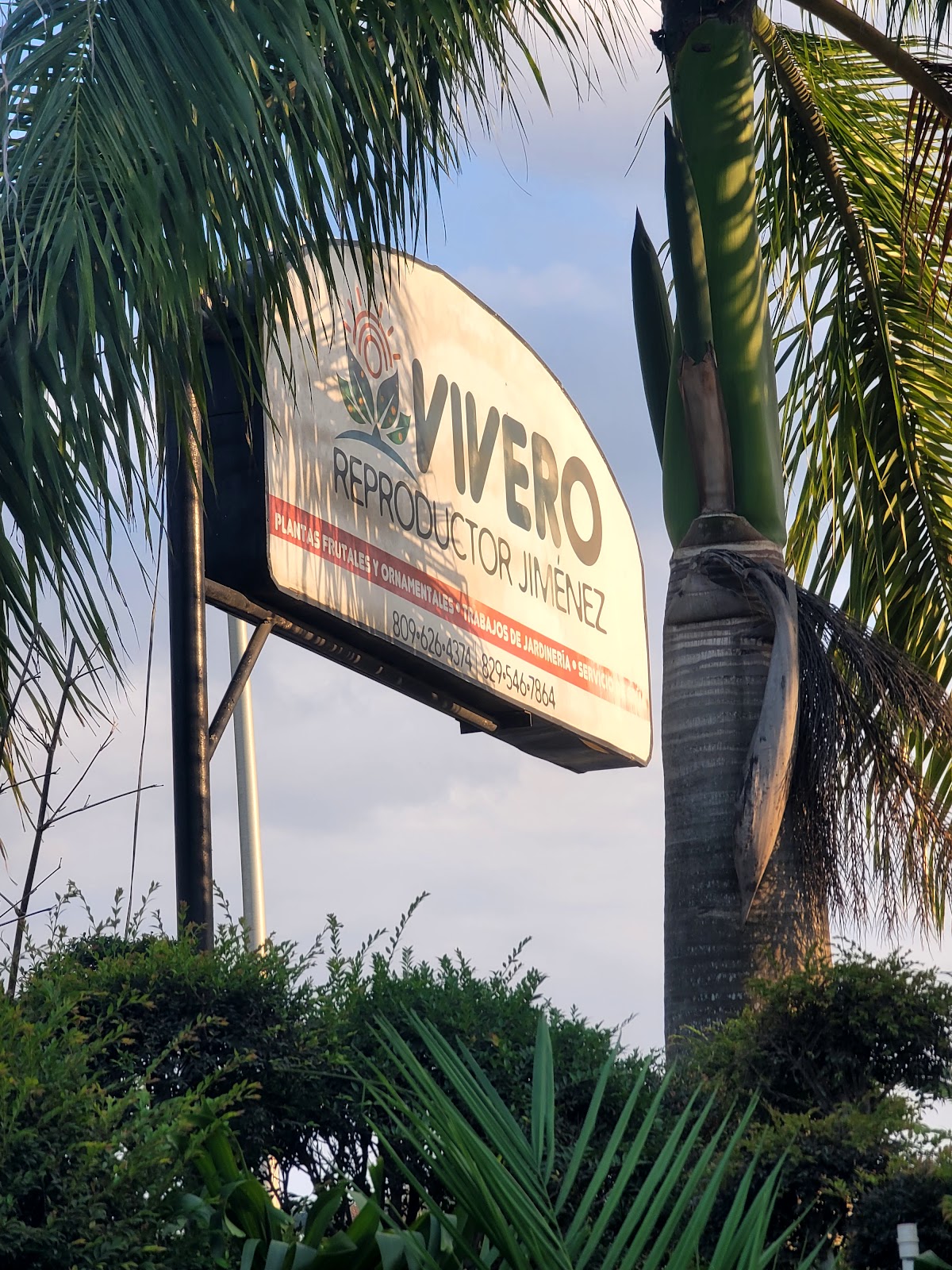 Vivero Jimenez - Imagen 1