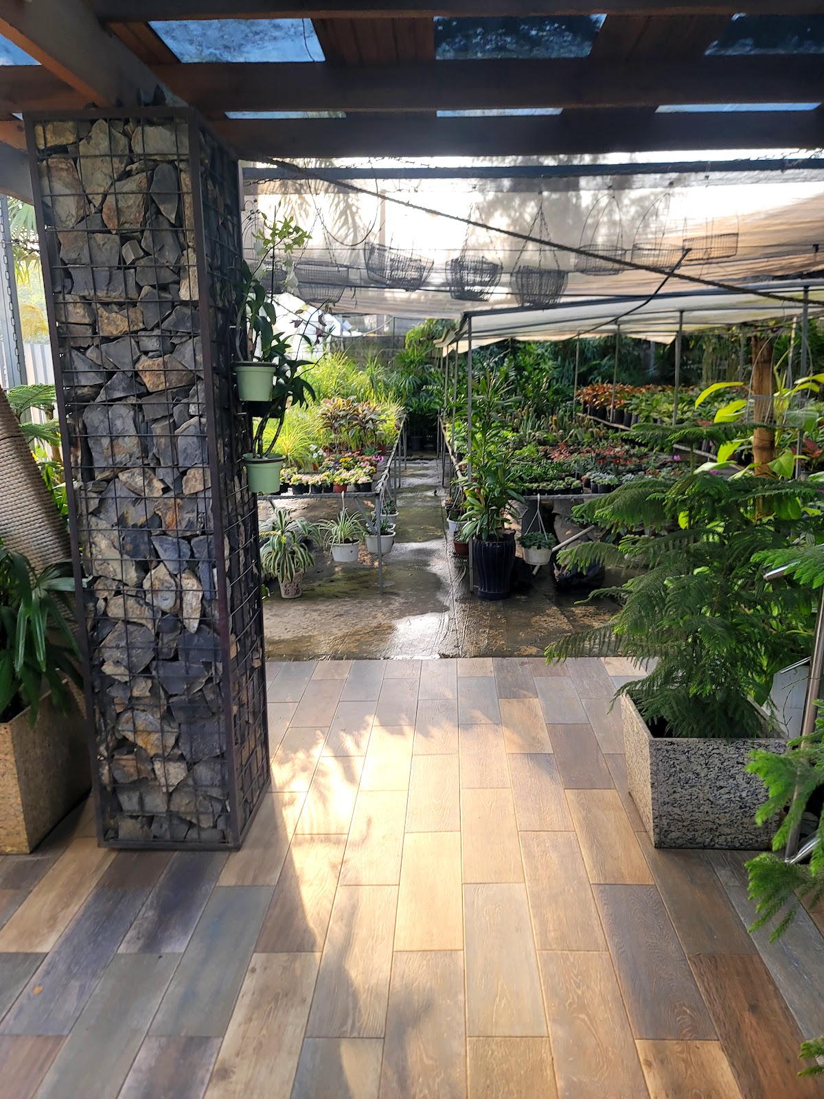 Vivero Jimenez - Imagen 2