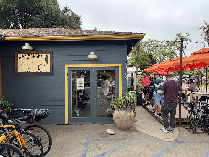 Lucky Llama Coffee House photo 4