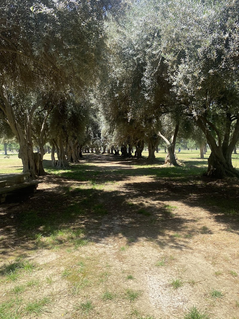 Kearney Park photo 2