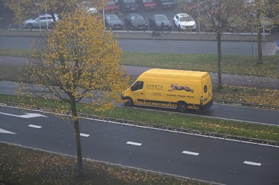 Foto van Cheeta Verhuizingen