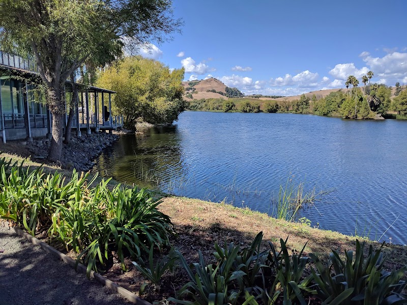 Serene lakeside environment