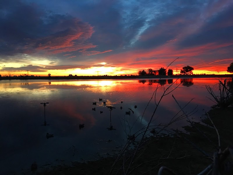 Birds and Bucks Outdoors - Photo 4