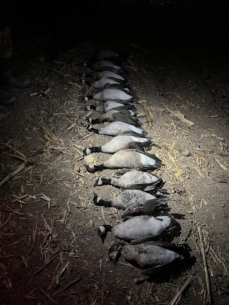 Birds and Bucks Outdoors - Photo 6