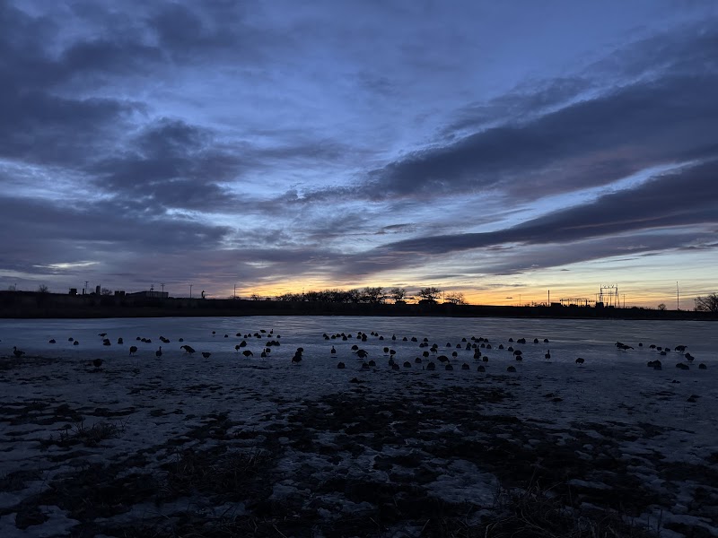 Birds and Bucks Outdoors - Photo 3