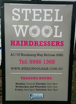 Steel Wool Hair