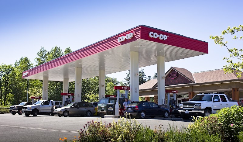 Peninsula Co-op Gas & Convenience Centre - South Duncan photo 1