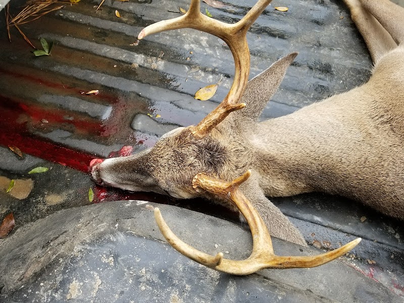 Blackwater Hunting Services - Photo 4