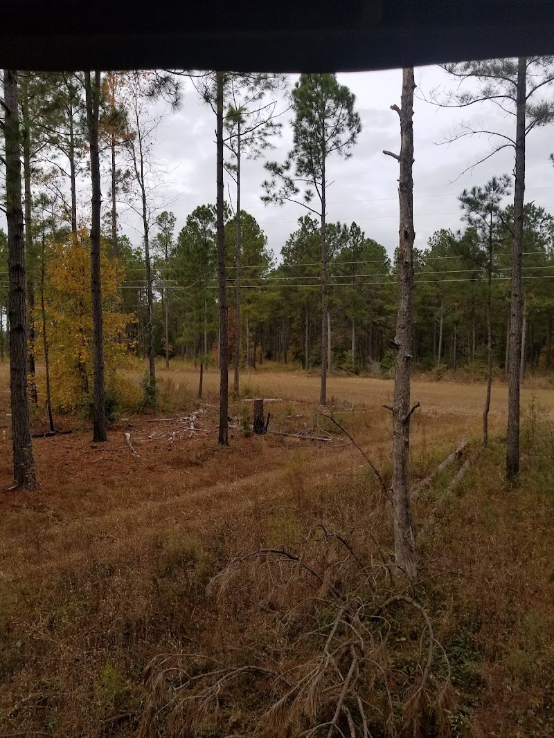 Blackwater Hunting Services - Photo 2