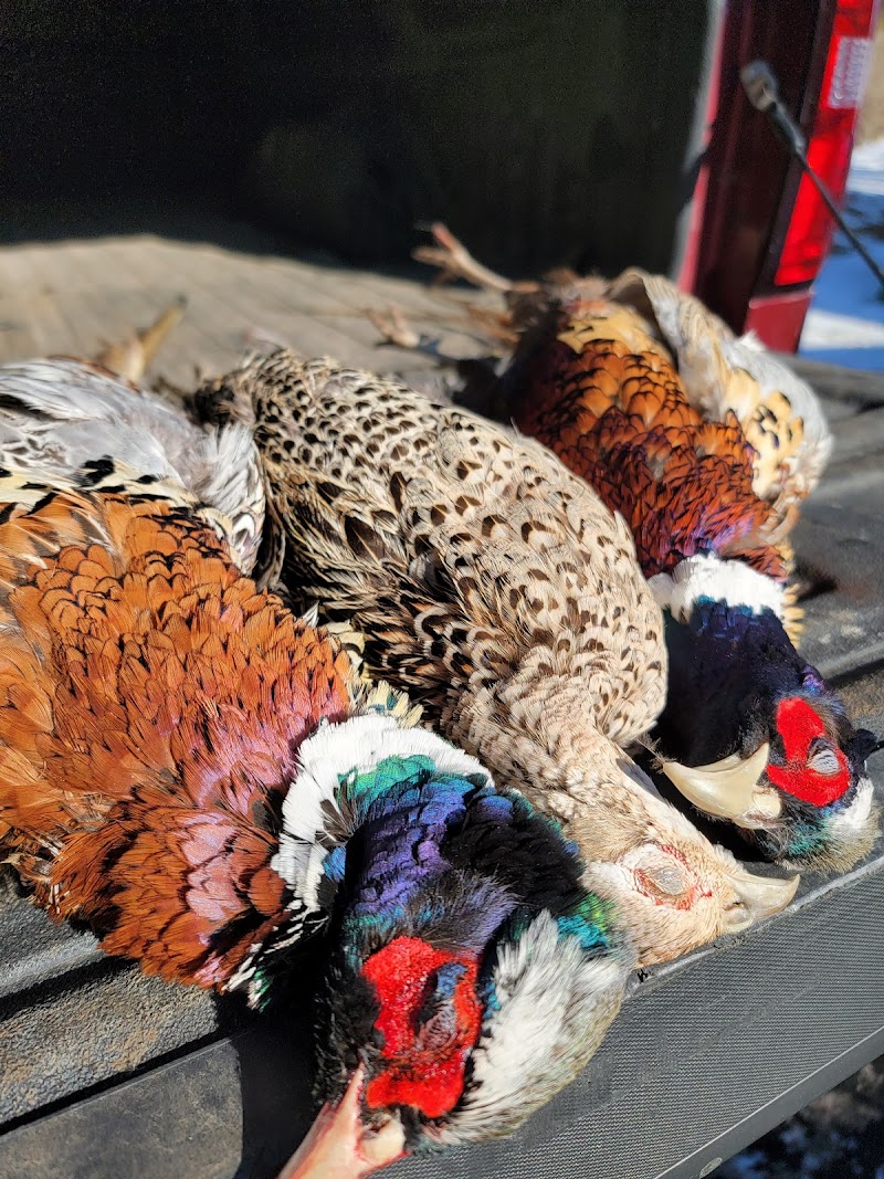 Cedar Valley Hunt Club - Photo 5