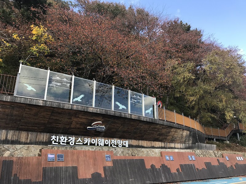친환경 스카이웨이 전망대 반려동물 동반 여행지