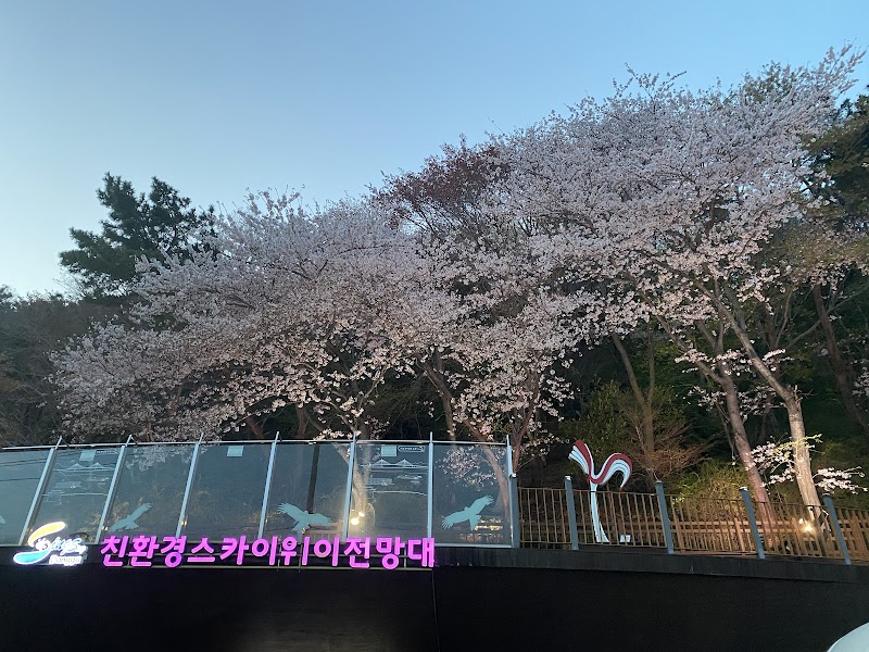 친환경 스카이웨이 전망대 사진 2