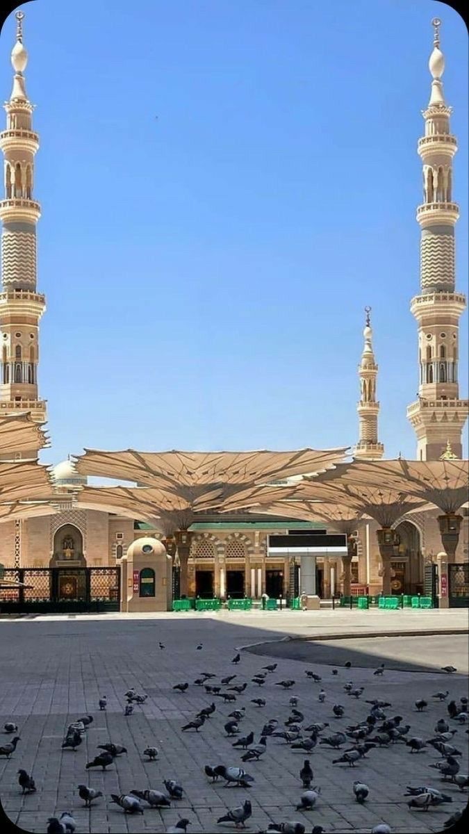 Mosque Aljoharh photo 5