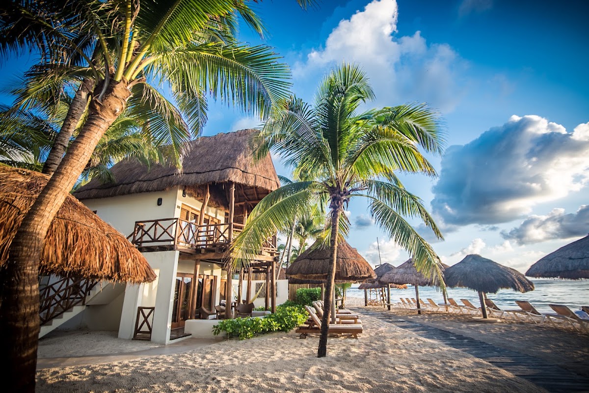 Beachfront bungalows with thatched roofs and palm trees at Mahekal Beach Resort, with lounge chairs and water beyond.
