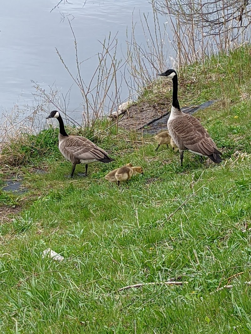 Copper Creek Lake Park photo 4