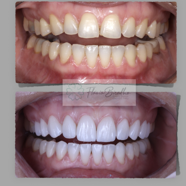 Dra Flávia Bicalho - foto 2