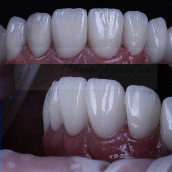 Dra Flávia Bicalho - foto 3