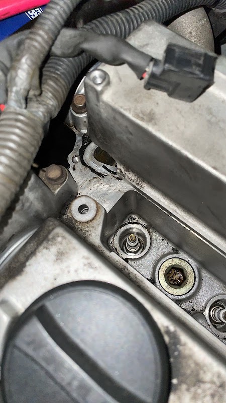 キングバイヤー - 画像3