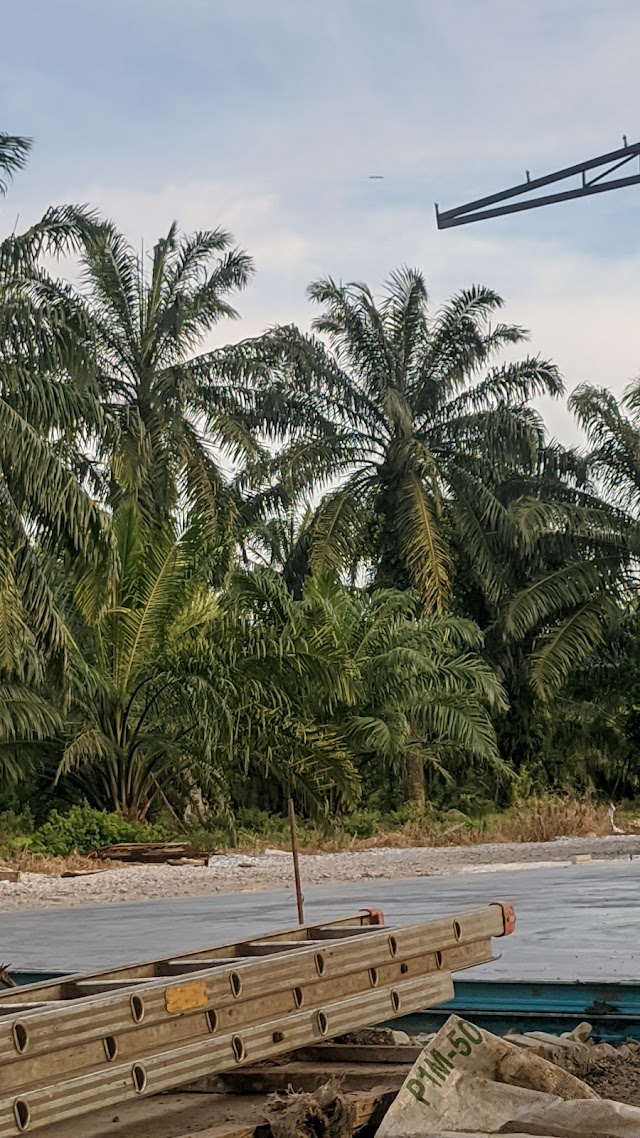 SJK(T) LADANG TUMBUK photo 2