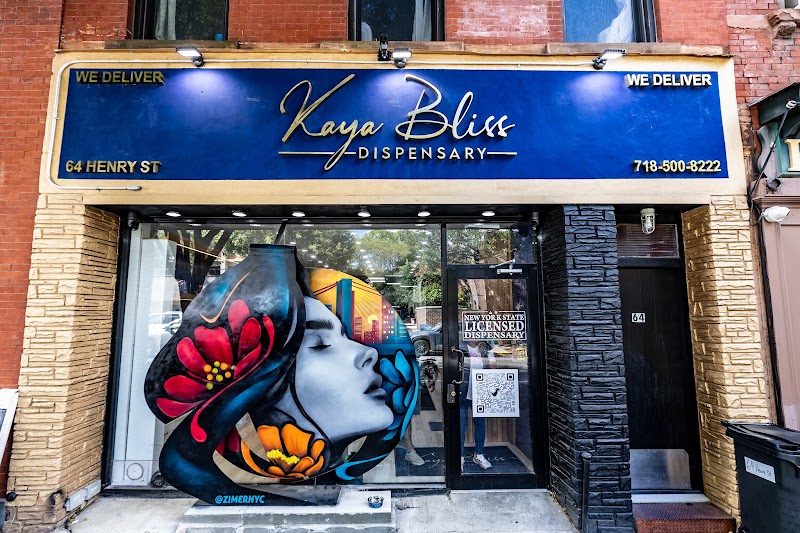 Video tour of Kaya Bliss Dispensary retail environment
