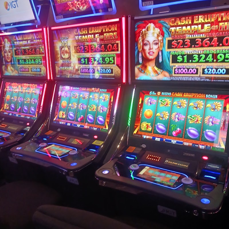 Dolphin Gaming — Great staff