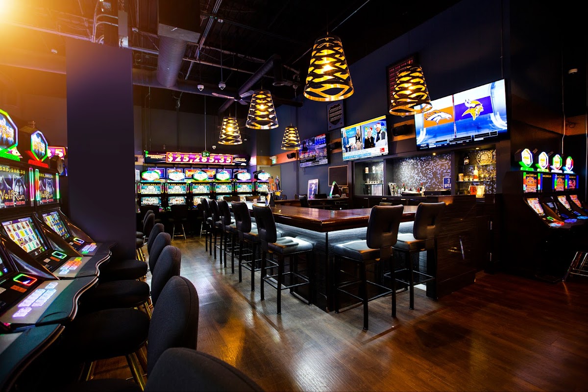 Dolphin Gaming — photo 7