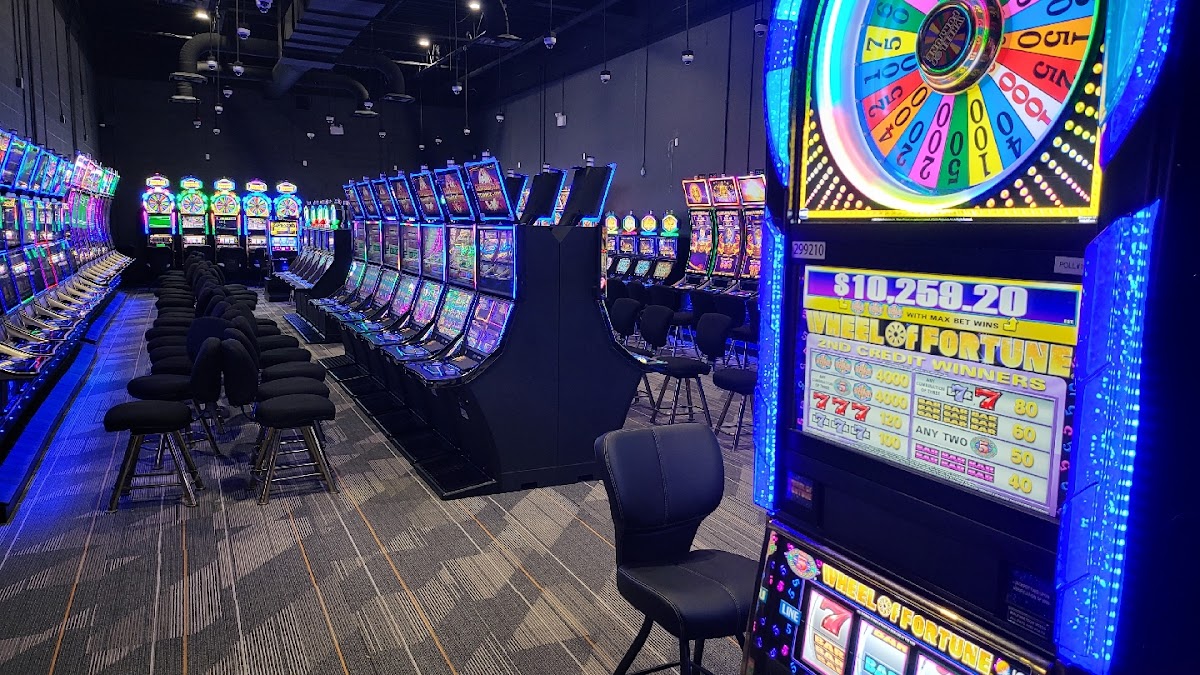 Dolphin Gaming — hero photo